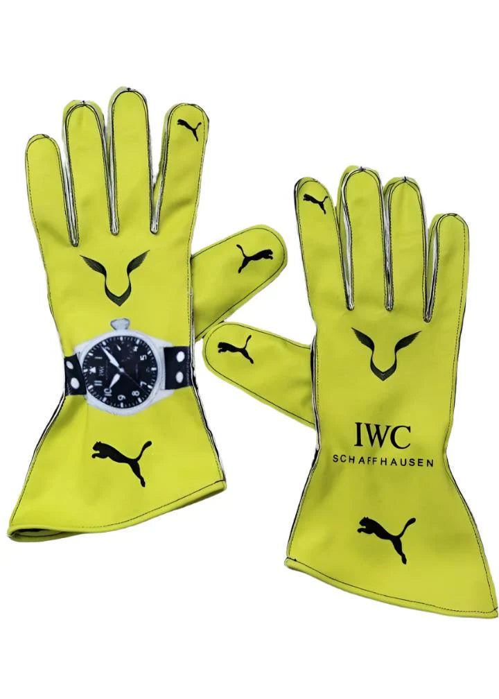F1 Mercedes lewis Hamilton 2023 race gloves